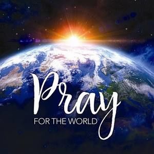 Meet your Posher, Rosanna